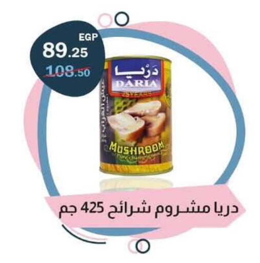 Mushroom available at Flamingo Hyper Market in Egypt - Cairo