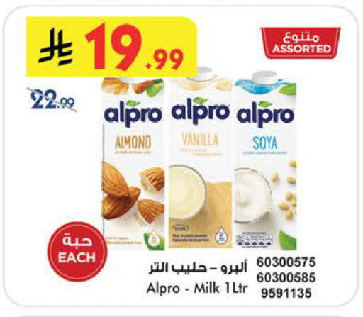 Vanilla available at Bin Dawood in KSA, Saudi Arabia, Saudi - Medina