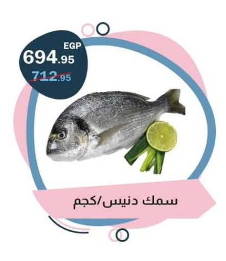 available at Flamingo Hyper Market in Egypt - Cairo