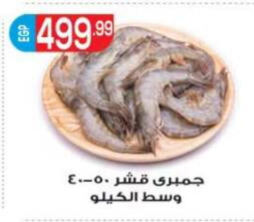 available at أولاد المحاوى in Egypt - القاهرة