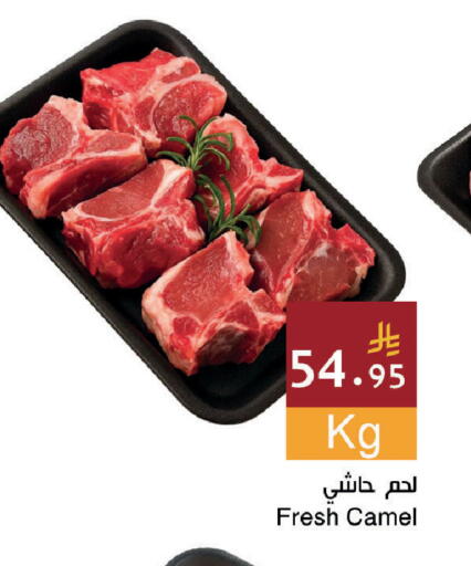 available at اسواق هلا in مملكة العربية السعودية, السعودية, سعودية - المنطقة الشرقية