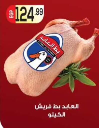 available at أولاد المحاوى in Egypt - القاهرة