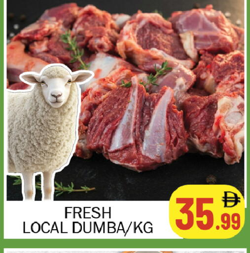 available at سوق المبارك هايبرماركت in الإمارات العربية المتحدة , الامارات - الشارقة / عجمان