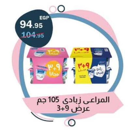 available at Flamingo Hyper Market in Egypt - Cairo