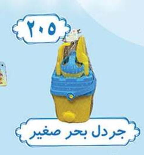 available at Al Rayah Market   in Egypt - Cairo