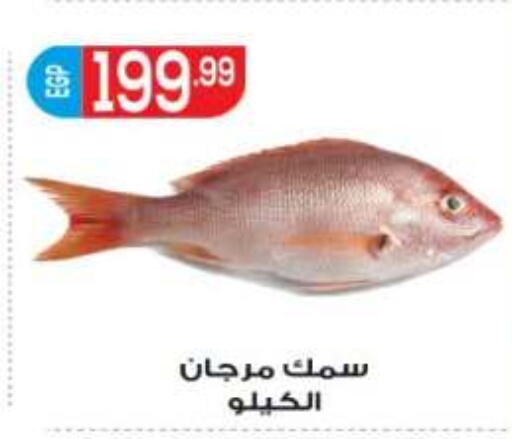 available at أولاد المحاوى in Egypt - القاهرة