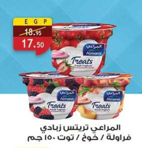 available at الرايه  ماركت in Egypt - القاهرة