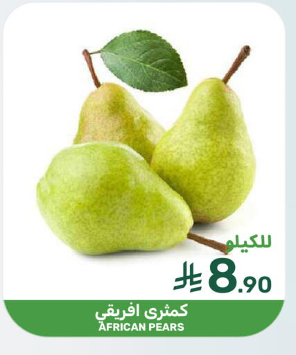 available at Mazaya in KSA, Saudi Arabia, Saudi - Qatif