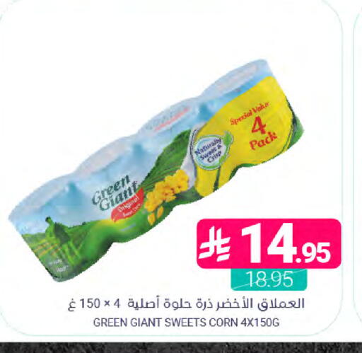 available at Muntazah Markets in KSA, Saudi Arabia, Saudi - Saihat
