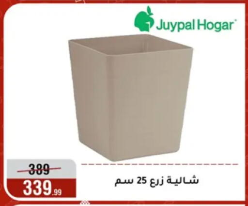 available at المرشدي in Egypt - القاهرة