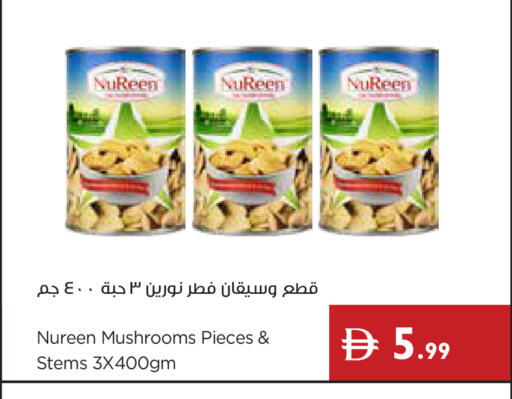 available at إسطنبول سوبرماركت in الإمارات العربية المتحدة , الامارات - ٱلْعَيْن‎