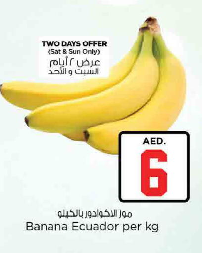 Banana from Ecuador available at نستو هايبرماركت in الإمارات العربية المتحدة , الامارات - رَأْس ٱلْخَيْمَة