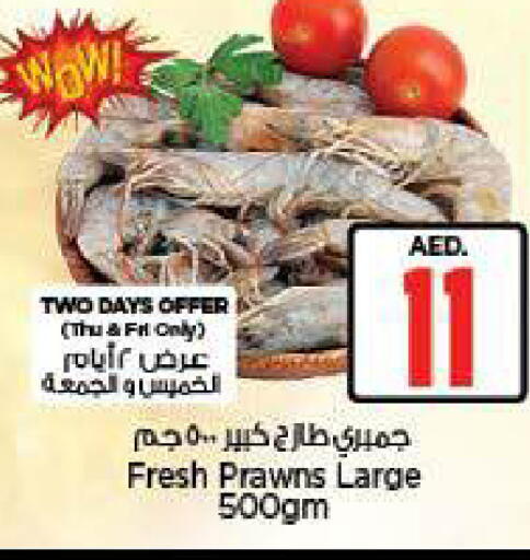 available at نستو هايبرماركت in الإمارات العربية المتحدة , الامارات - ٱلْعَيْن‎