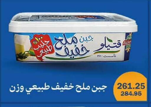 available at Flamingo Hyper Market in Egypt - Cairo
