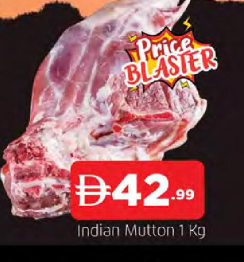 available at المدينة in الإمارات العربية المتحدة , الامارات - الشارقة / عجمان