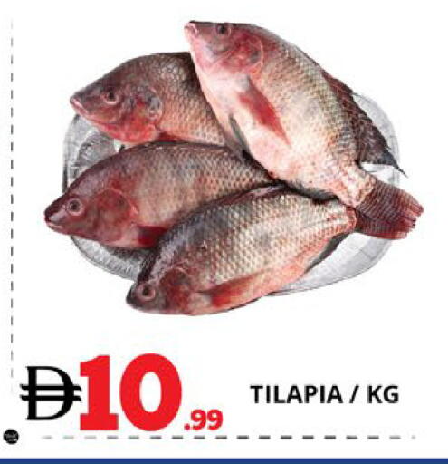 available at EXPRESS AL MADEENA HYPERMARKET LLC in UAE - Abu Dhabi