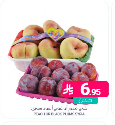 Peach Plums from Syria available at Muntazah Markets in KSA, Saudi Arabia, Saudi - Saihat