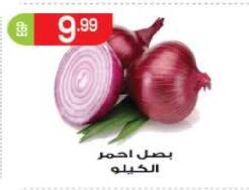 available at أولاد المحاوى in Egypt - القاهرة