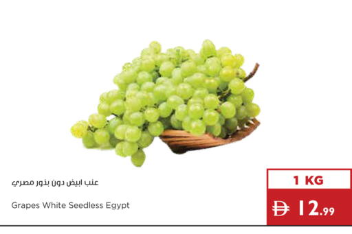 Grapes from Egypt available at إسطنبول سوبرماركت in الإمارات العربية المتحدة , الامارات - ٱلْعَيْن‎