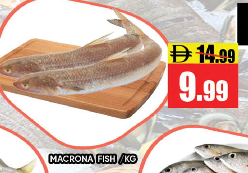 available at ليبتس هايبرماركت in الإمارات العربية المتحدة , الامارات - رَأْس ٱلْخَيْمَة