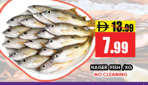 available at ليبتس هايبرماركت in الإمارات العربية المتحدة , الامارات - رَأْس ٱلْخَيْمَة