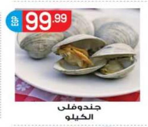 available at أولاد المحاوى in Egypt - القاهرة