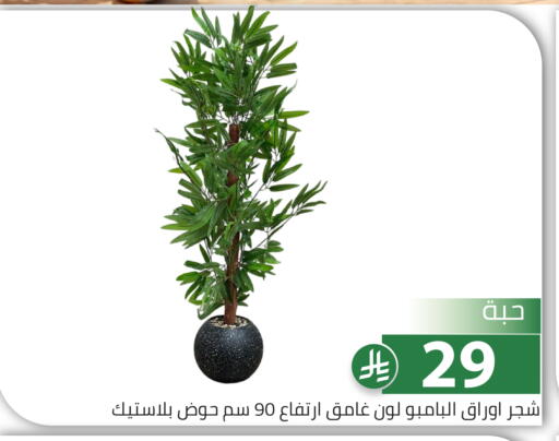 available at Family Discount in KSA, Saudi Arabia, Saudi - Riyadh
