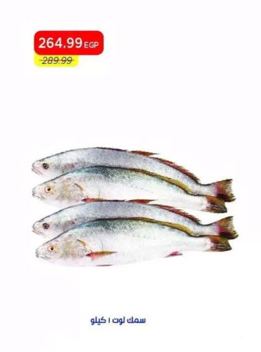 available at Metro Market  in Egypt - Cairo