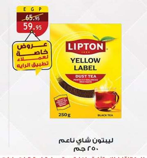 available at الرايه  ماركت in Egypt - القاهرة