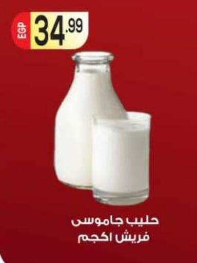 available at أولاد المحاوى in Egypt - القاهرة
