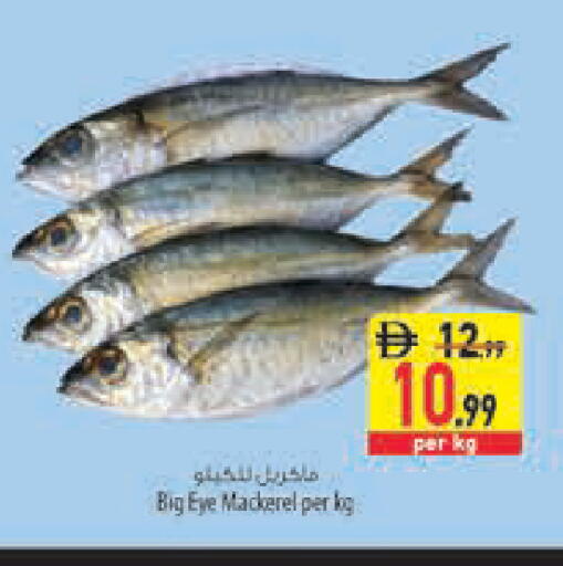 available at Safeer Market in UAE - Fujairah
