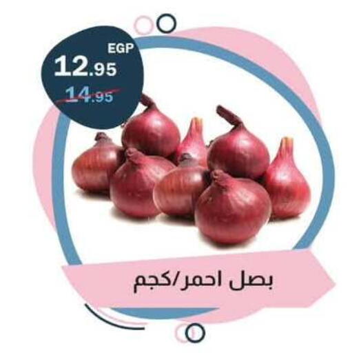 available at Flamingo Hyper Market in Egypt - Cairo