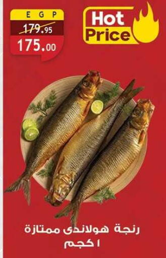 available at الرايه  ماركت in Egypt - القاهرة