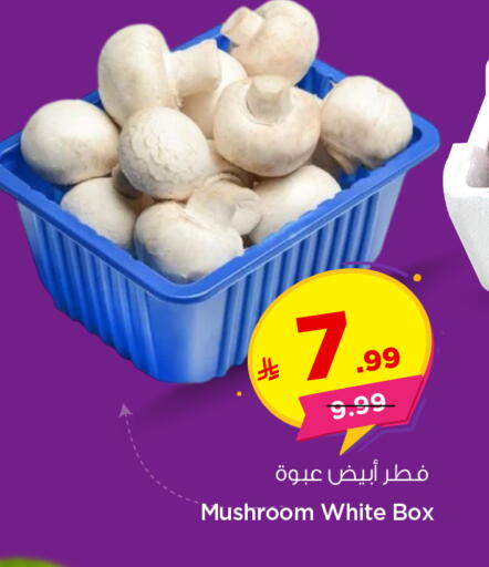 Mushroom available at Nesto in KSA, Saudi Arabia, Saudi - Ar Rass
