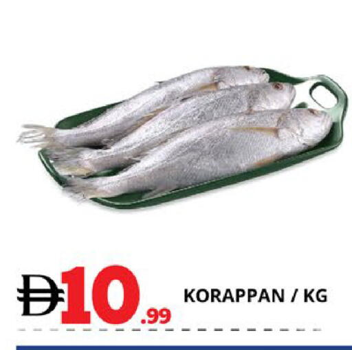 available at EXPRESS AL MADEENA HYPERMARKET LLC in UAE - Abu Dhabi