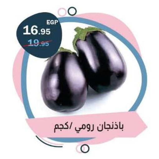 available at فلامنجو هايبرماركت in Egypt - القاهرة