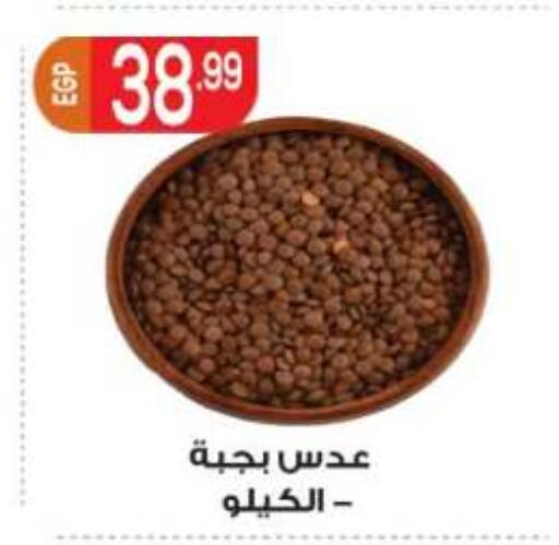 available at أولاد المحاوى in Egypt - القاهرة