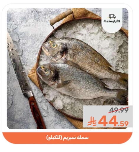 available at Mazaya in KSA, Saudi Arabia, Saudi - Qatif