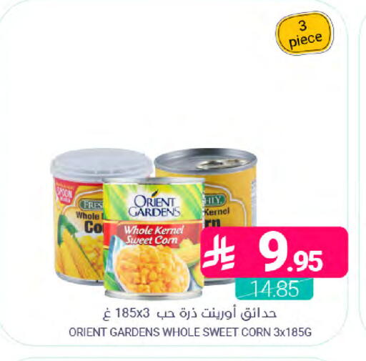 available at Muntazah Markets in KSA, Saudi Arabia, Saudi - Saihat