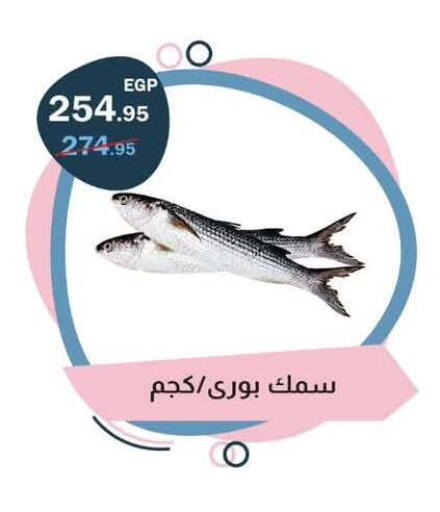 available at Flamingo Hyper Market in Egypt - Cairo