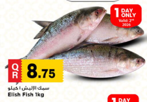 available at Marza Hypermarket in Qatar - Al Shamal