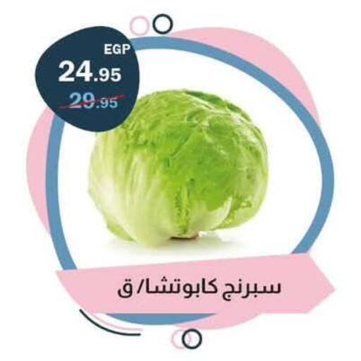 available at فلامنجو هايبرماركت in Egypt - القاهرة