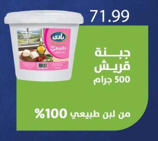available at أولاد المحاوى in Egypt - القاهرة