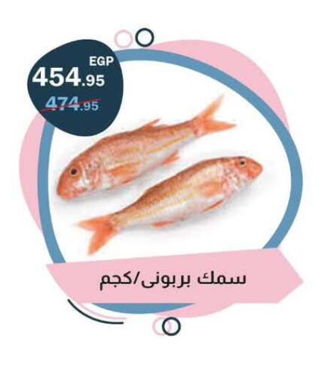 available at Flamingo Hyper Market in Egypt - Cairo