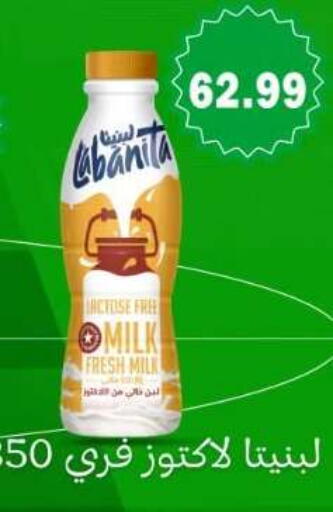 available at El mhallawy Sons in Egypt - Cairo