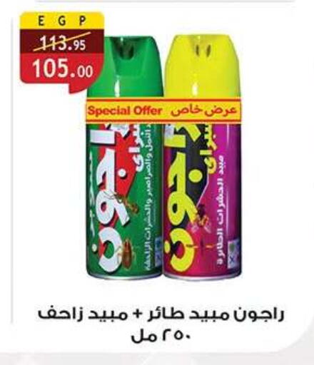 available at الرايه  ماركت in Egypt - القاهرة