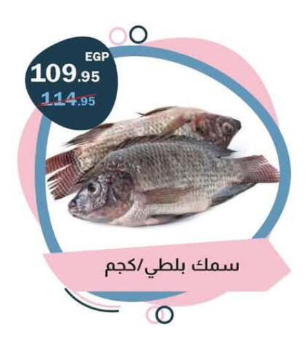 available at Flamingo Hyper Market in Egypt - Cairo