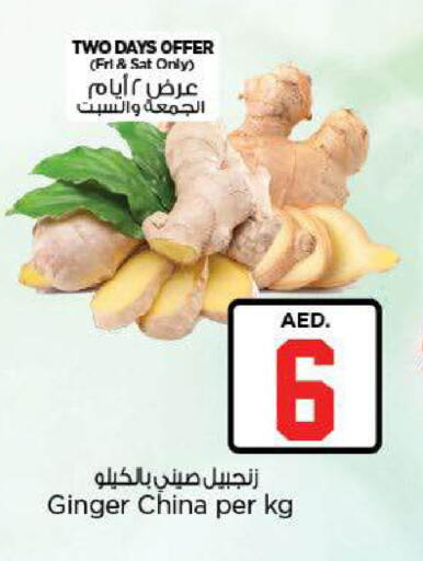 Ginger from China available at نستو هايبرماركت in الإمارات العربية المتحدة , الامارات - ٱلْعَيْن‎
