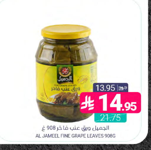available at Muntazah Markets in KSA, Saudi Arabia, Saudi - Saihat