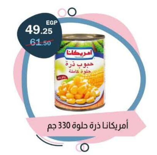 available at Flamingo Hyper Market in Egypt - Cairo